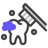 Teeth Cleaning